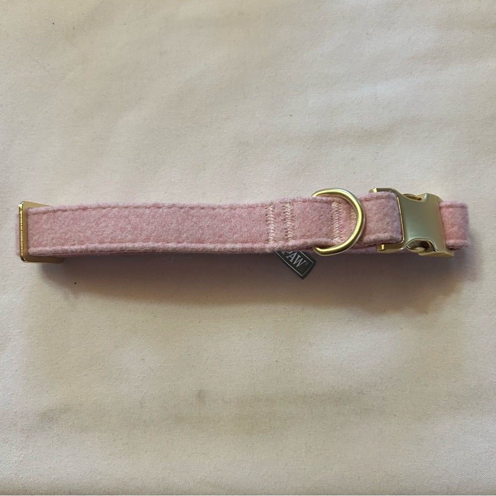 Medium Wool Dog Collar with Gold Buckle